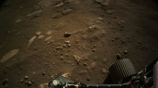 The promise and peril of a crewed Mars mission