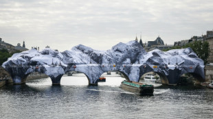 Paris descobre Pont Neuf transformada em caverna: '&Eacute; realmente espetacular!'