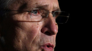 Scholz empf&auml;ngt Nato-Generalsekret&auml;r Stoltenberg in Berlin