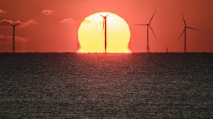 Eolien en mer: lancement d'un &eacute;norme appel d'offres en 2025 (Macron)