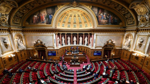 Budget 2024: le S&eacute;nat passe au vote des recettes de l'Etat, sans avoir convaincu l'ex&eacute;cutif