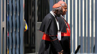 Los 16 cardenales "papables" de cara al c&oacute;nclave