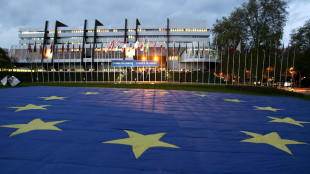 Consiglio d'Europa, 'niente pressioni politiche sulla Cedu'