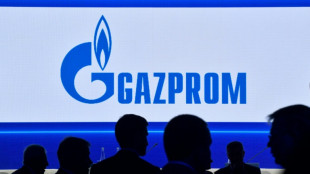 Rusia reanudar&aacute; el suministro de gas a Italia