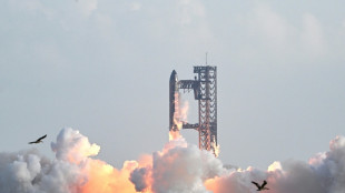 Nouveau vol test sous pression de la mégafusée Starship d'Elon Musk