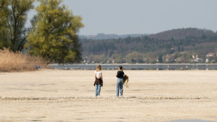 Halb so viel Niederschlag wie üblich: Trockenheit in Deutschland hält im April an