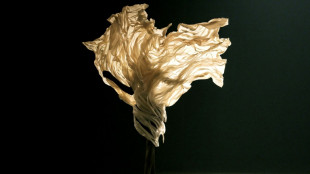 Celebs light up Schiaparelli to open Paris Haute Couture Week