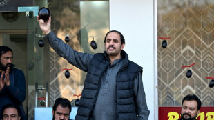 Aubergine, bouteille, lit: les symboles &eacute;lectoraux d&eacute;tourn&eacute;s au Pakistan