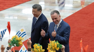 Xi aboga por un mundo multipolar "ordenado" al recibir al uruguayo Orsi en Pek&iacute;n