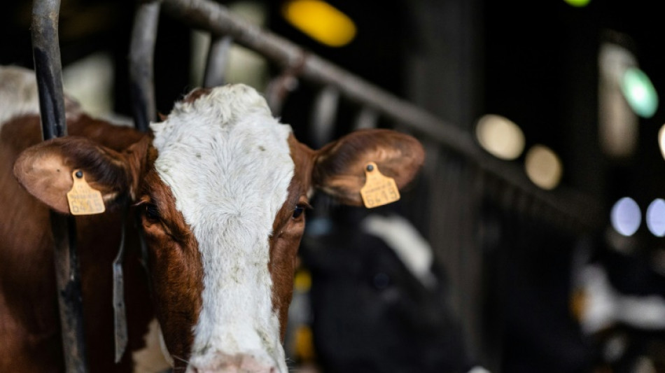 Plus de paysans, moins de contraintes ? Le projet de loi agricole au r&eacute;v&eacute;lateur de l'Assembl&eacute;e