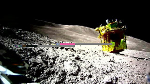 L'agence spatiale japonaise va de nouveau tenter de r&eacute;veiller sa sonde lunaire
