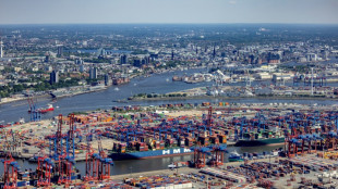 Volksentscheid erfolgreich: Hamburger stimmen für schärfere Klimaziele