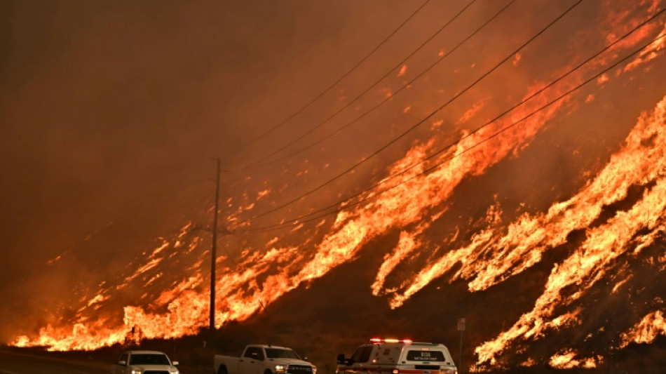 Incendios en Los &Aacute;ngeles disparan las p&eacute;rdidas econ&oacute;micas durante el primer semestre