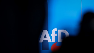 AfD in Brandenburg w&auml;hlt Bundestagsabgeordneten Springer zu neuem Vorsitzenden