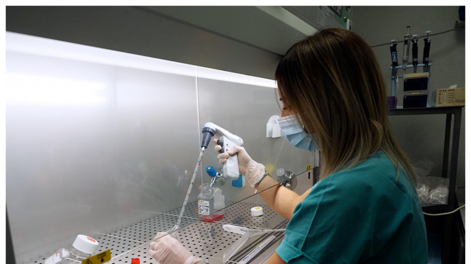 Testata su topi nuova terapia per tumore pi&ugrave; comune nei bambini