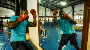 Boxe: Cuba de retour sur le ring professionnel, 60 ans apr&egrave;s