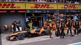 F1 world champion Norris fears 'long, tough season'