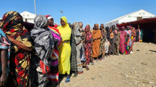 Famine spreading in Sudan's Darfur, UN-backed experts warn