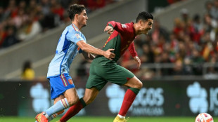 "Los j&oacute;venes podemos aportar vitalidad y ambici&oacute;n", dice Guillam&oacute;n