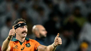 Schmidt hails 'grit and resilience' as his Wallabies upset Lions