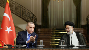 Le pr&eacute;sident iranien en Turquie pour assurer une position commune &agrave; propos de la guerre &agrave; Gaza