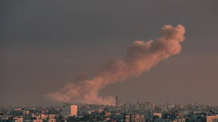 Blinken au Moyen-Orient, vers un cinqui&egrave;me mois de guerre &agrave; Gaza