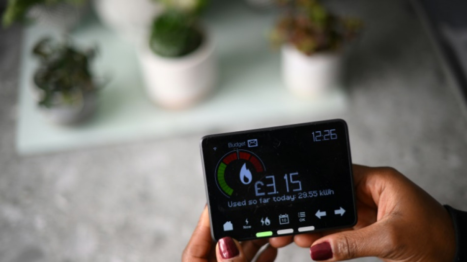 Bundestag stimmt &uuml;ber raschen Einbau intelligenter Stromz&auml;hler ab