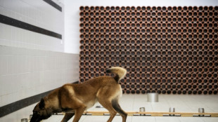 Flairer disques durs et clés USB, la nouvelle mission des chiens gendarmes