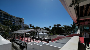 Perros polic&iacute;as rastrean estupefacientes en el Festival de Cannes