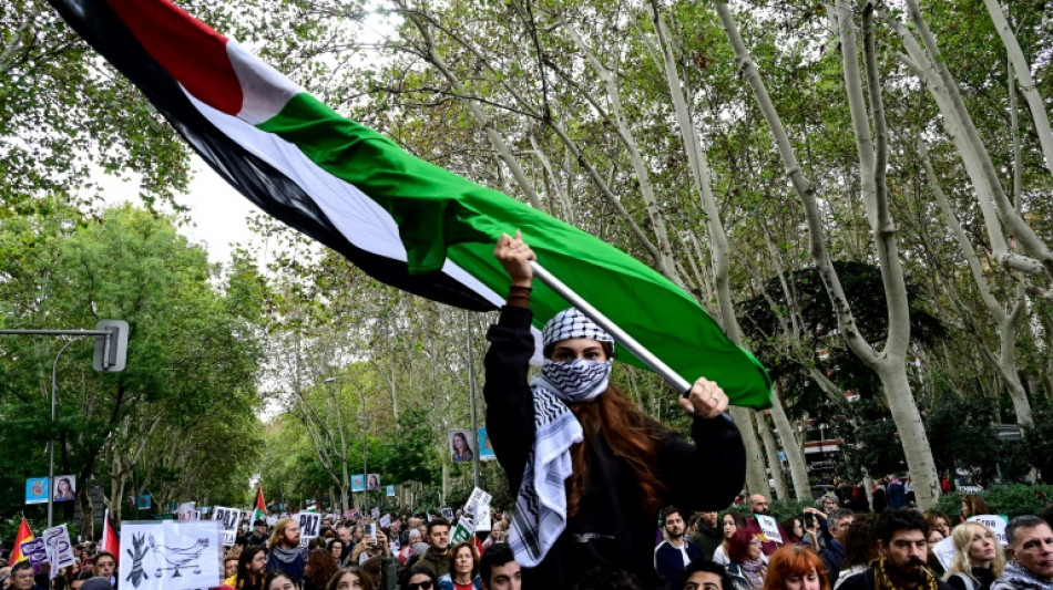 Thousands of pro-Palestinian protesters demand ceasefire at Madrid march