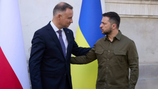 'Stronger together': Polish leader visits Ukraine ahead of NATO summit