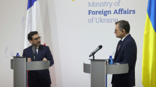 L'Ukraine, "priorit&eacute; de la France" malgr&eacute; la crise au Proche-Orient