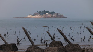 Ta&iuml;wan: Kinmen, sur la ligne de front, se pr&eacute;pare &agrave; voter