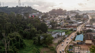 Biodiversit&eacute; : au Gabon, des botanistes en qu&ecirc;te de nouvelles esp&egrave;ces