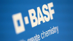 F&uuml;hrungswechsel bei BASF: Vorstandsmitglied Kamieth wird neuer Chef im April