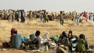Soudan: plus de 400 tu&eacute;s au Darfour par les paramilitaires, selon des sources cit&eacute;es par l'ONU