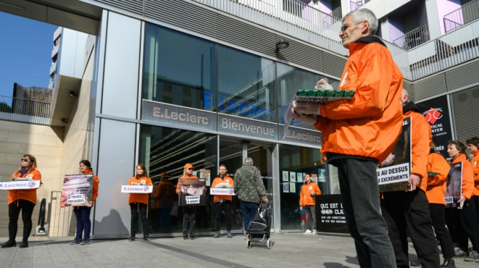 L214 am&egrave;ne des cadavres de porcelets devant un Leclerc parisien