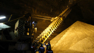 La d&eacute;pendance aux engrais russes, une &eacute;pine dans le sol europ&eacute;en