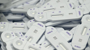 Covid-19 en France: moins de patients &agrave; l'h&ocirc;pital, les cas positifs augmentent