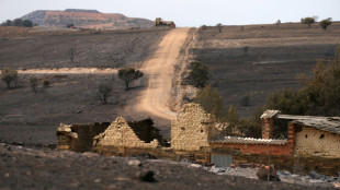 Adem&aacute;s del cambio clim&aacute;tico, la despoblaci&oacute;n rural quema Espa&ntilde;a