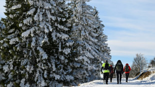 Menos fr&iacute;o intenso y menos nieve durante el invierno en el hemisferio norte, advierte un estudio