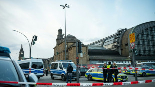 Polizeigewerkschaft will mehr Befugnisse an Bahnhöfen - Dobrindt für mehr Einsätze