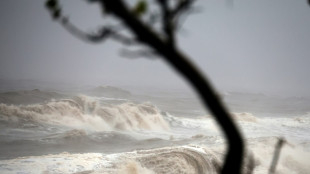 &Agrave; La R&eacute;union, les coraux lourdement endommag&eacute;s par le cyclone Garance