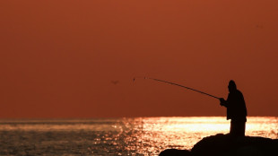 EU verbietet Blei in g&auml;ngigen Angelk&ouml;dern