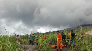 Socorristas de Indonesia recuperan el cuerpo de un excursionista tras erupci&oacute;n volc&aacute;nica