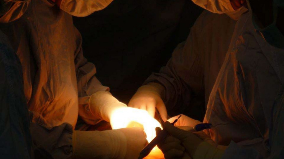 Riuscito il primo trapianto su una scimmia di una porzione di ipofisi umana