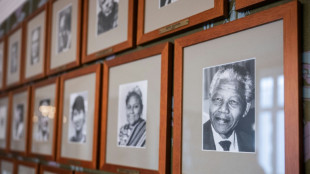 Pr&ecirc;mio Nobel 2024, um raio de esperan&ccedil;a em um mundo fraturado por guerras