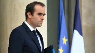 Niger coup weakens fight against terror in Africa: France