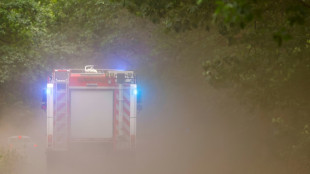 Rund 200 Feuerwehrleute bek&auml;mpfen Waldbrand in Nationalpark Harz