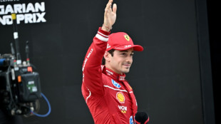 Ferrari's Leclerc on pole for Hungarian GP